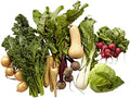 Farmers Market Organic Seasonal Vegetable Bundle