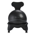Copy of Copy of Gaiam Balance Ball Chairs