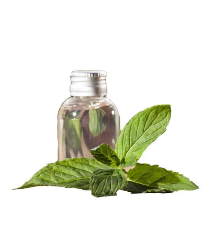 UHROHMUH Peppermint (Rectified) Essential Oil (Organic)